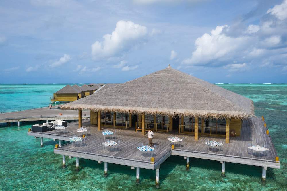 Manta Restaurant at Cocoon thumbnail 2